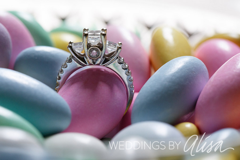 West Virginia Wedding Photographers
