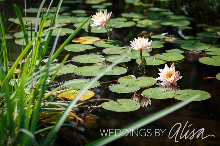 04- Springwood Conference Center Wedding