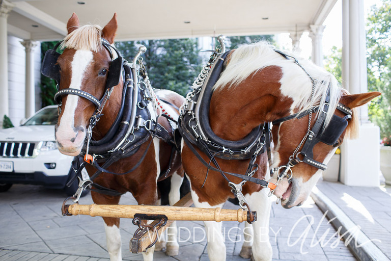 WEDDING_AT_NEMACOLIN-03 (3)