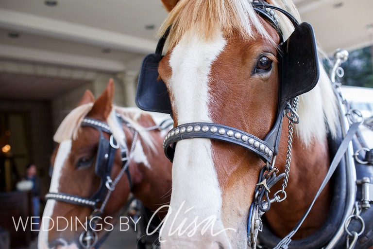 Nemacolin Woodlands Wedding Photos