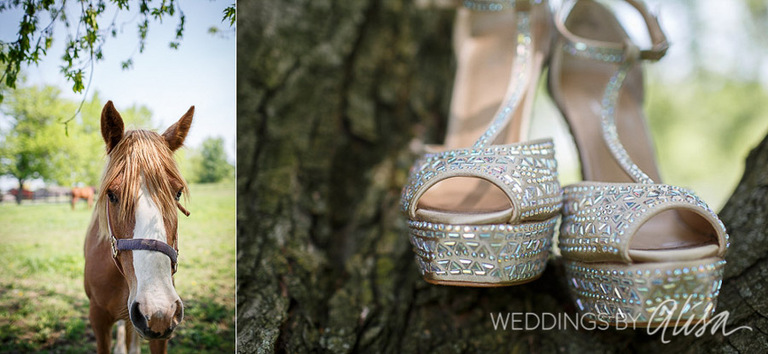Married at Armstrong Farm