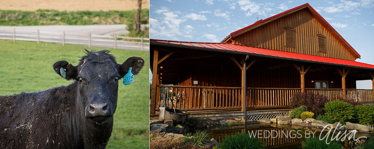 Spring Farm Wedding in Pittsburgh