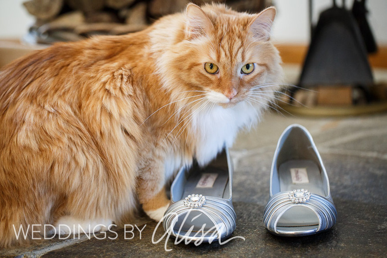 Hilton Southpointe Wedding Photos