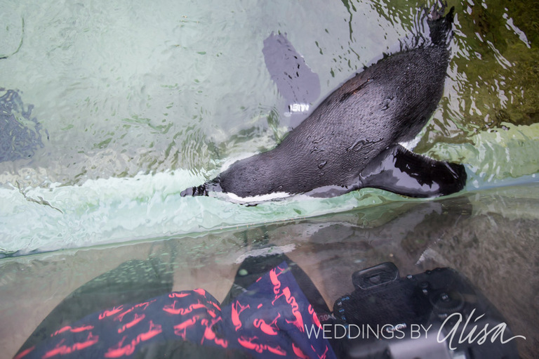 National Aviary Wedding Photos - 62