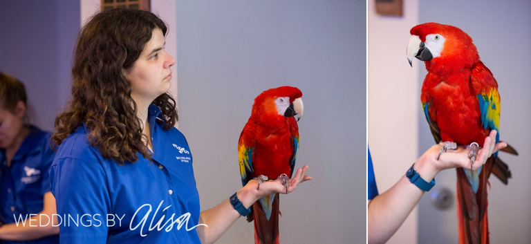 National Aviary Wedding Photos - 64