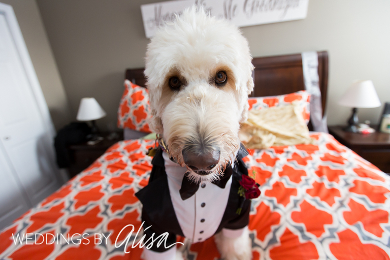 Duquesne-Power-Center-Wedding-Photos-14