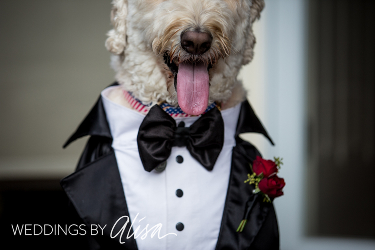 Duquesne-Power-Center-Wedding-Photos-022