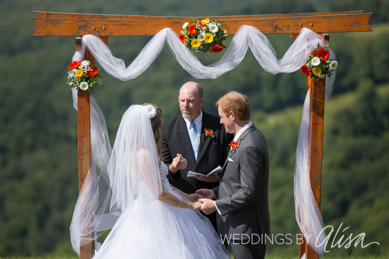 Canaan Valley Resort Wedding - 17
