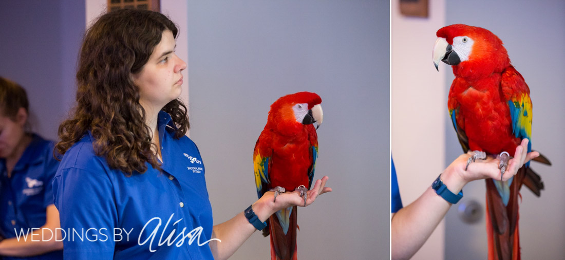 National Aviary Wedding Photos - 64