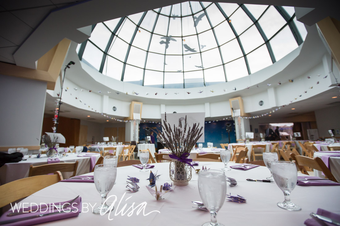 National Aviary Wedding Photos - 65